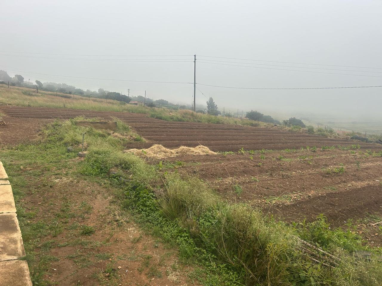 WhatsApp Image 2025-10-04 at 16.03.11(1)(1)